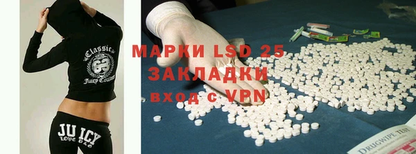 прущие грибы Медногорск