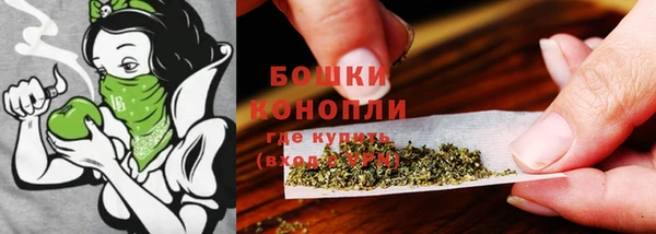 прущие грибы Медногорск