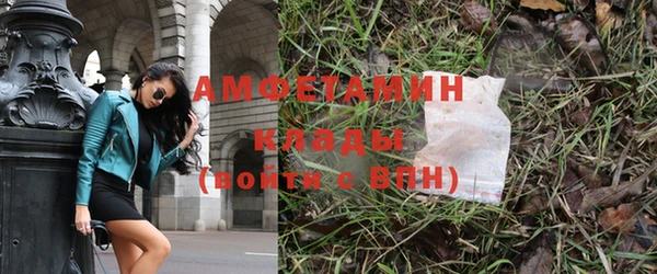 прущие крисы Абаза