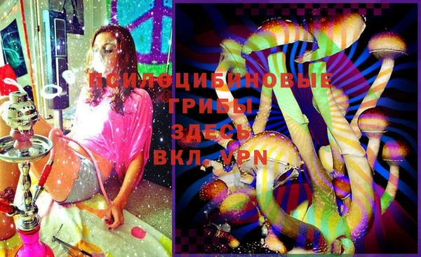 шишки Абинск