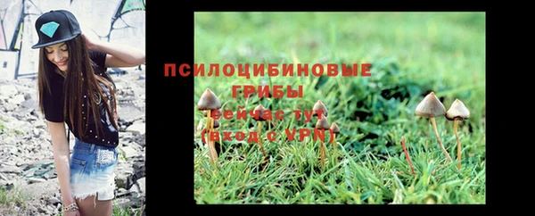 шишки Абинск