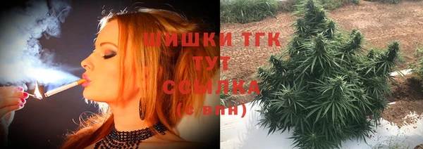 шишки Абинск