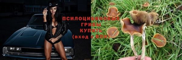 шишки Абинск