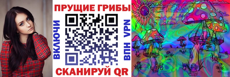 Псилоцибиновые грибы Psilocybine cubensis  Пудож 