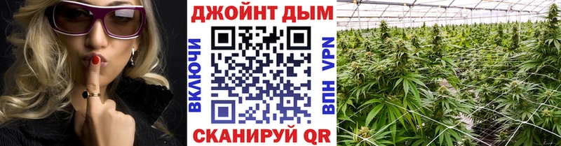 купить   Пудож  Канабис гибрид 
